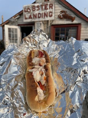 Hot, buttered lobster roll