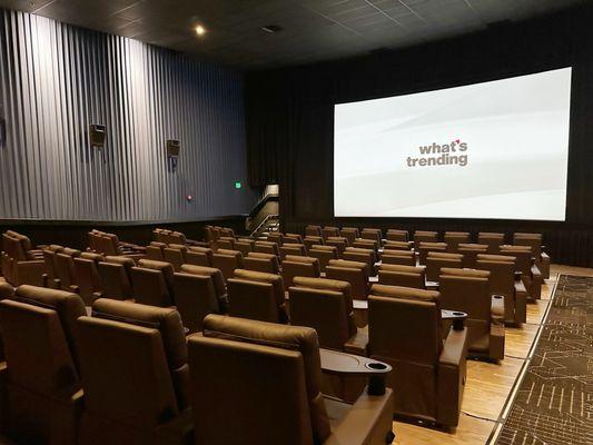 Pristine condition theater and seats