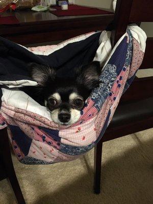 This blanket (makeshift hammock on a whim) was my very first creation--ever. Follow me on Instagram @YoriLamaz