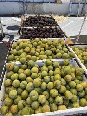 Plums at the Inner Sunset Farmers Market San Francisco