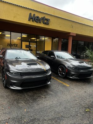 Hertz Kissimmee East Vine Street