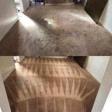 Carpet cleaning: before & after