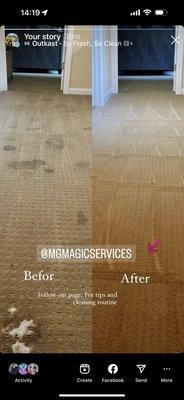 Carpet cleaning, before and after.