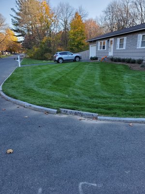 Simply Green Landscaping