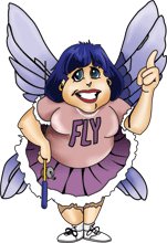 The House Fairy