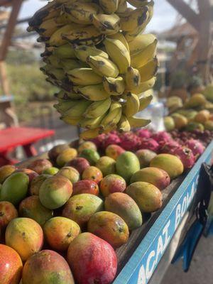 Paia Fruit & Farmstand