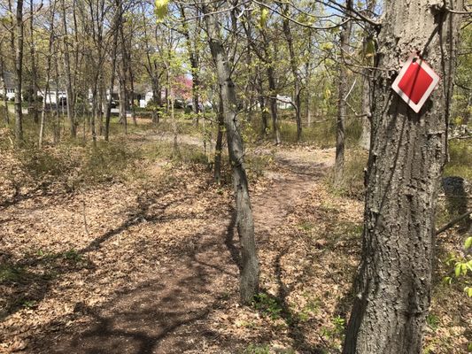 Red Diamond Trail Marker