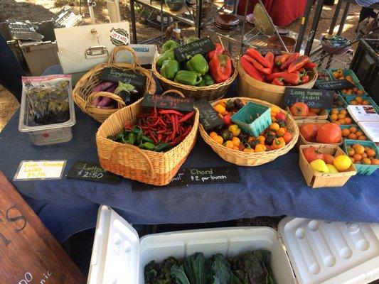 New Roots Farm at the Colorado Farm and Art Market