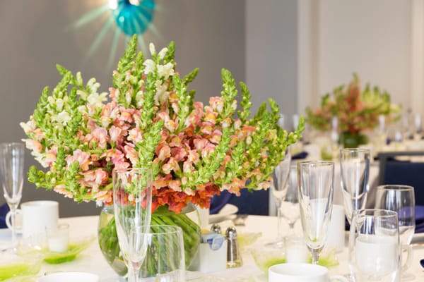 Beach Brunch style wedding reception. Colors: Lime Green, Navy, Coral.