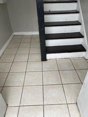 After picture of cleaned, disinfected and sanitized two level entryway in a quadplex.