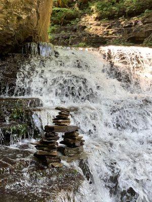 Salt Springs State Park