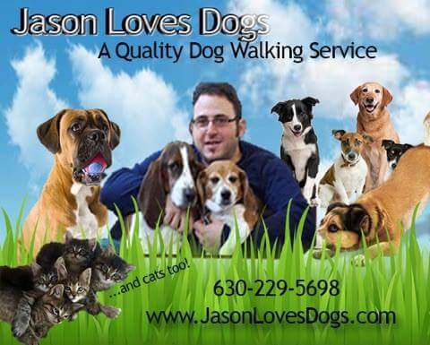 Jason Loves Dogs Since 2009 Insured and Bonded.