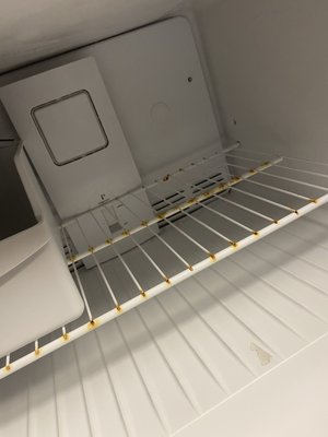 The fridge