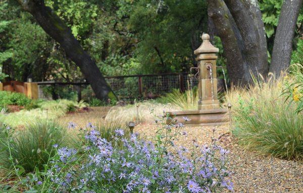 Fountain in grass garden