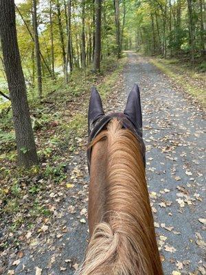 Flat trail. Wallkill valley rail trail.