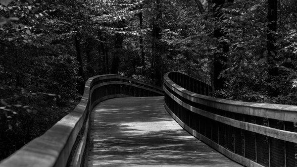 A peaceful walk across a bridge. B&W print