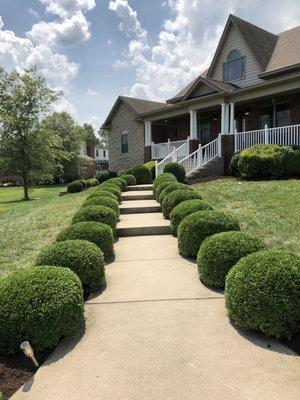 We recommend trimming bushes in May and October.