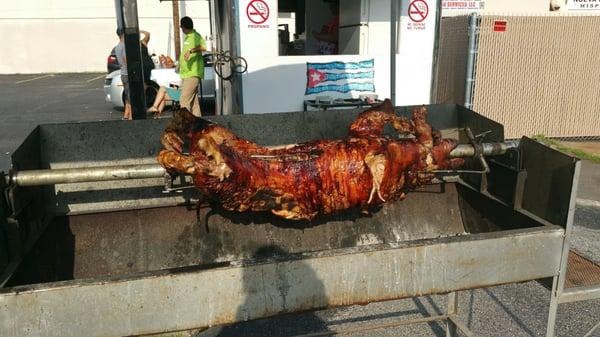 Cuban style roasted whole pig!