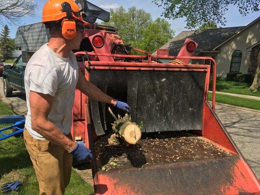 Busy Beavers Trees & Landscaping