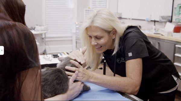 Dr. Jodi is performing an oral exam while our anesthesia tech loves on Tre. We do an awake oral exam on all patients prior to anesthesia.