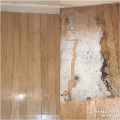 Underneath Washer Before & After