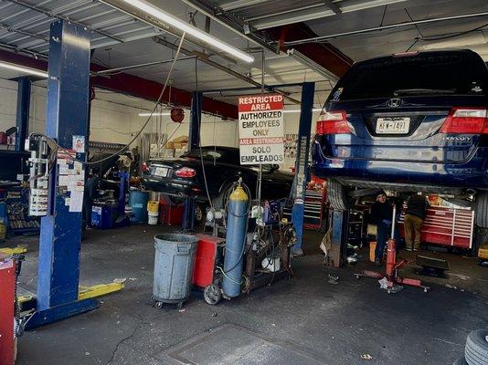 Palomino Auto Service