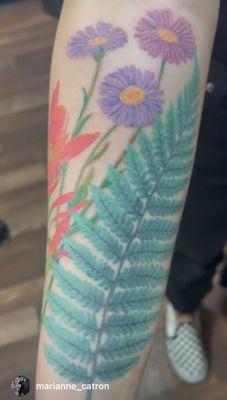 Gerber daisy and fern, fully healed