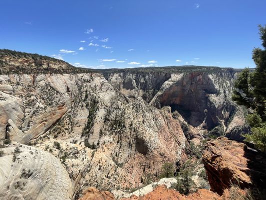 Observation point view