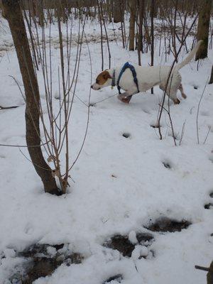 Warnimont Dog Park