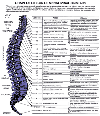 "...every organ, system and function of the human body is under direct control of the central nervous system" ~ Gray's Anatomy