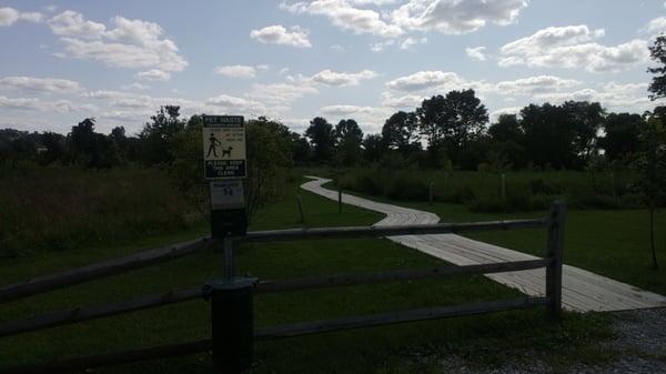 Exton Park Path