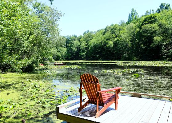 Woodcock Nature Center