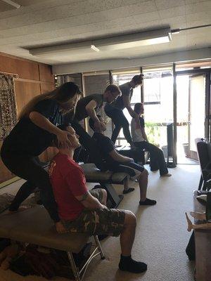 Adjusting classes for chiropractic students and DCs.