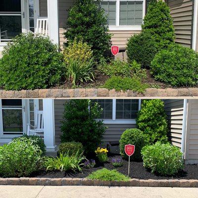 Flower bed clean up and mulch