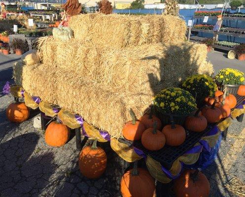 Golden straw, half and quarter bales