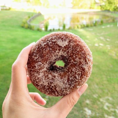 Apple Cider Donut. IG: @HungryChaus