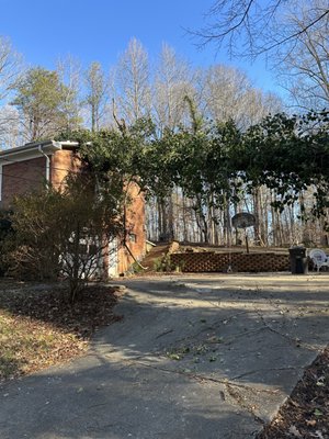 Tree that has been blown over onto a house