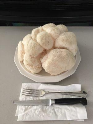 A massive Lions Mane Mushroom to go with Lamb and Wild Rice!