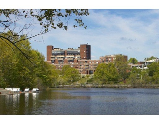 View from Charles River