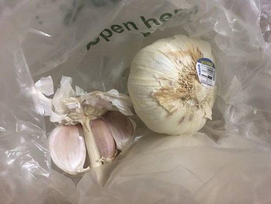 Fresh Garlic