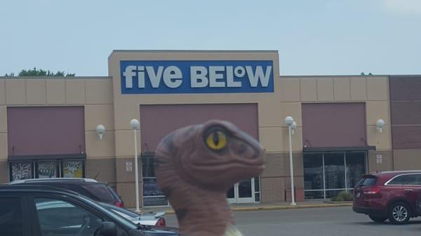 Bob the Raptor Says "If 5 are below I wonder how many are above."