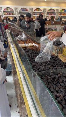 Gathering fresh dates the Madinah date farm