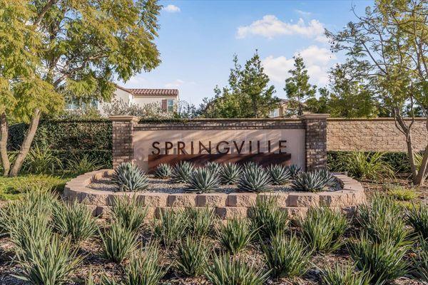 Springville Community in Camarillo