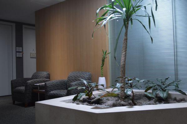 Our tranquil waiting area at the Quiet Center