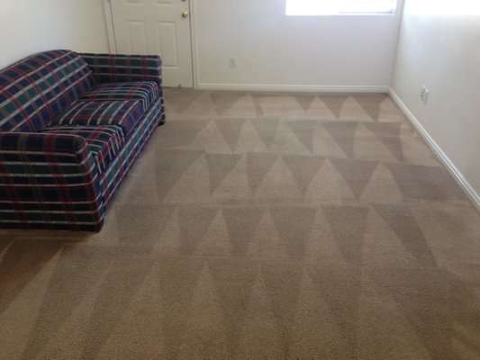 Clean Carpets.