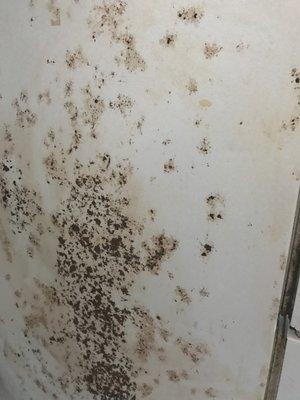 Mold