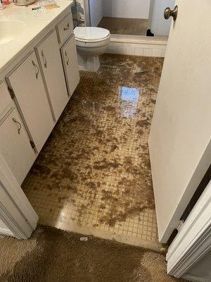 Master bathroom backup