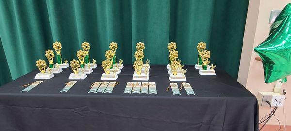 Elementary Science Fair trophies and ribbons!