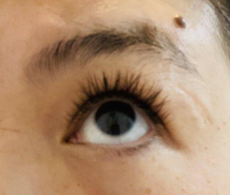 Day 1 of lash refill - I asked for a natural look. I'm super happy with the results.