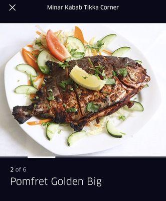 Pomfret golden